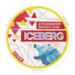 Load image into Gallery viewer, Iceberg Nicotine Pouches