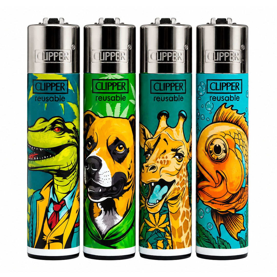 CLIPPER Lighters Printed Various Designs Box Of 48